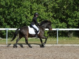 IMG_4886_web